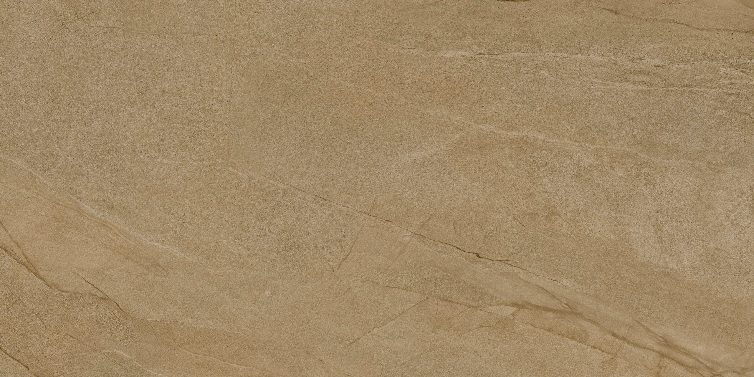 Terrassenplatte | Halley | Taupe | 60x120