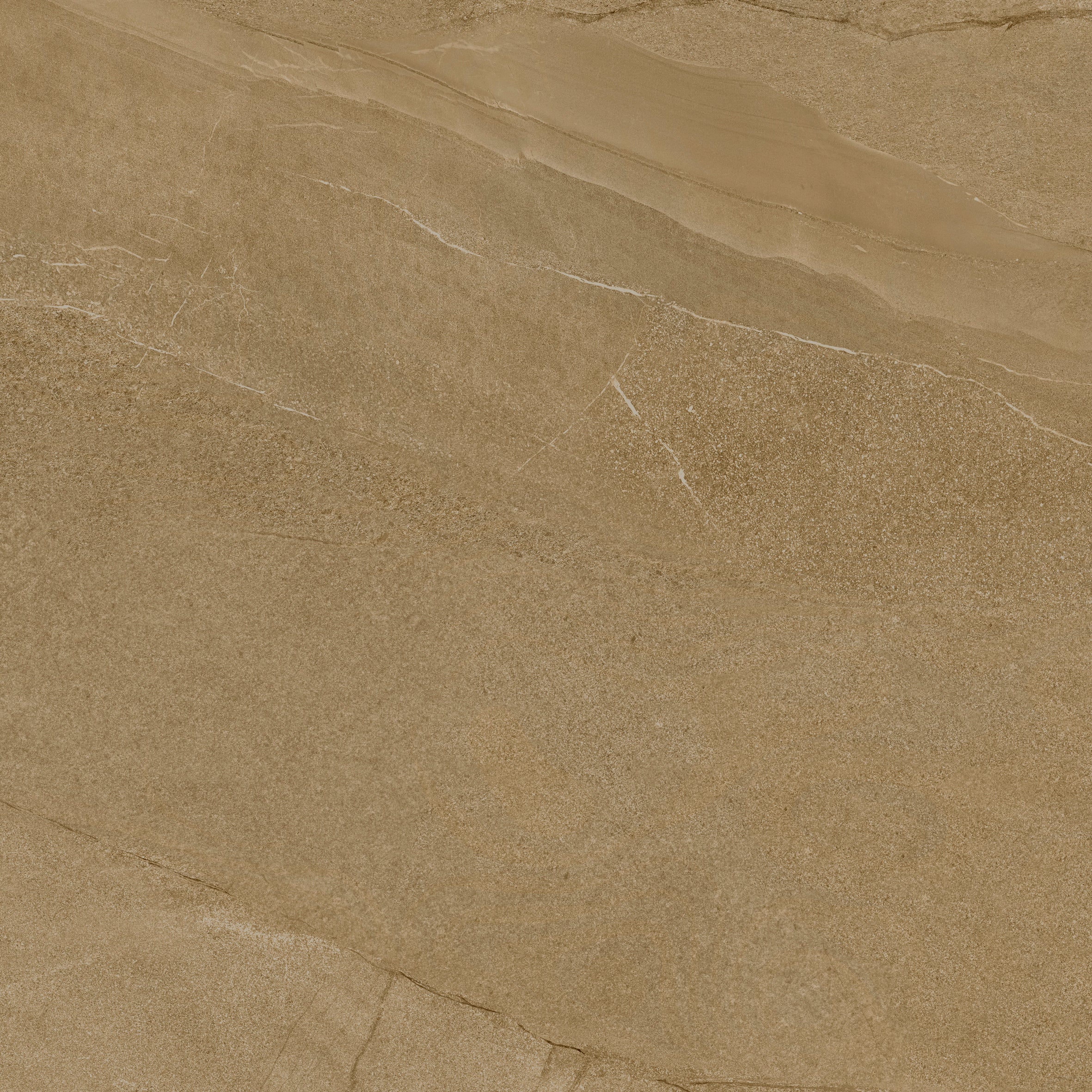 Terrassenplatte | Halley | Taupe | 60x60