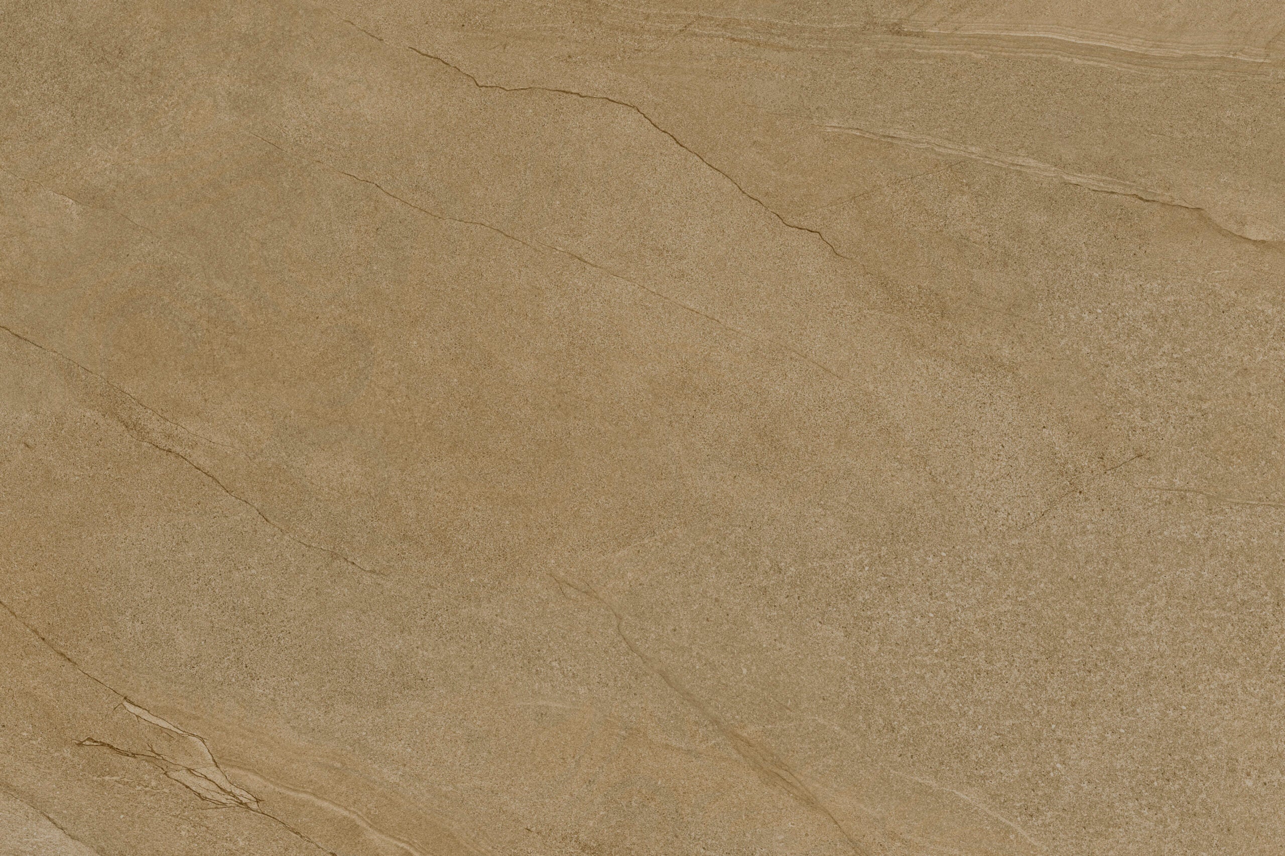 Terrassenplatte | Halley | Taupe | 60x90