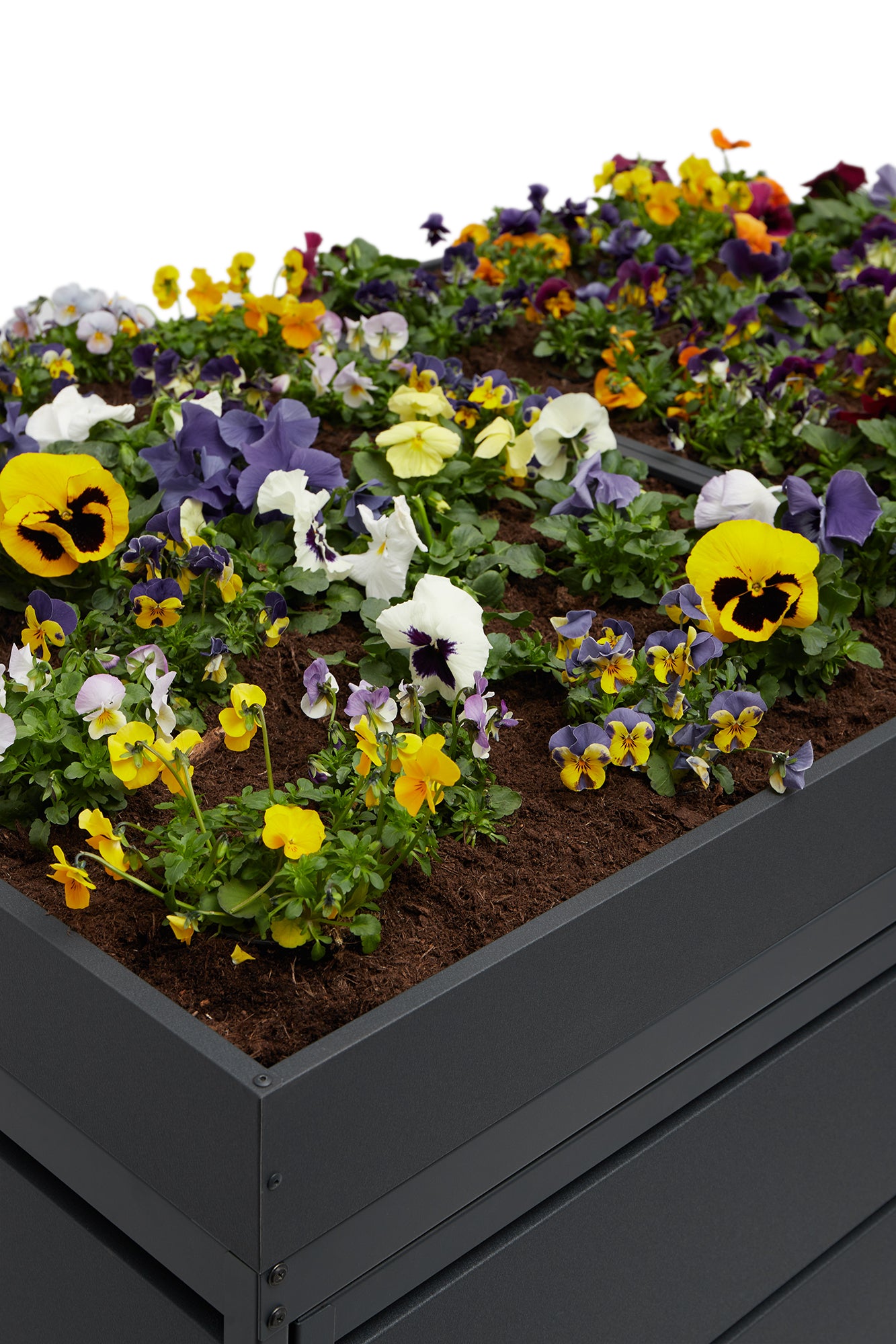 "GREENBOXX" Mülltonnenbox 1er 240L mit Grünfläche | Mülltonnenbox aus Metall