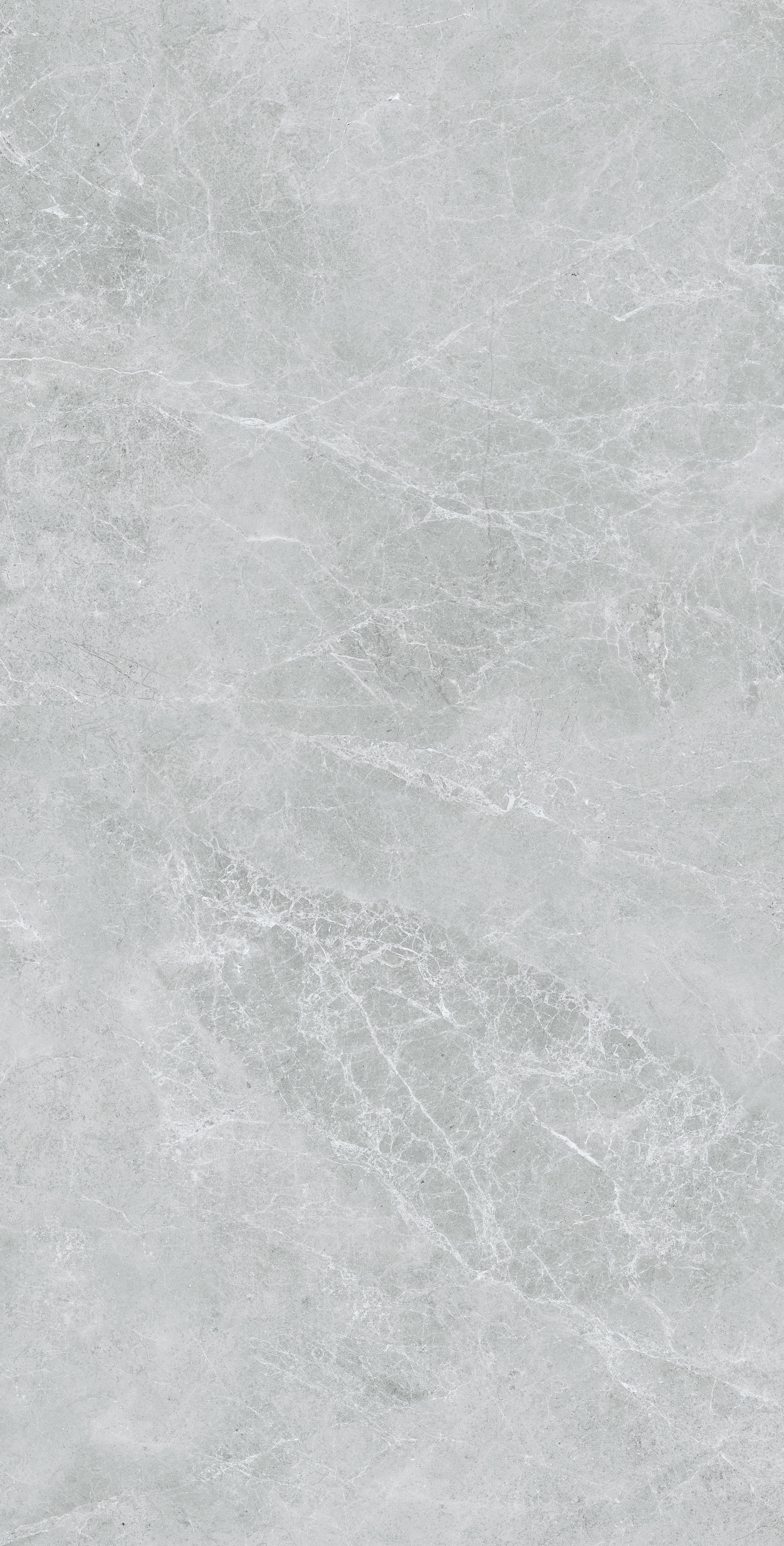 Bodenfliese Swan Grey Polished 60cm x 120cm
