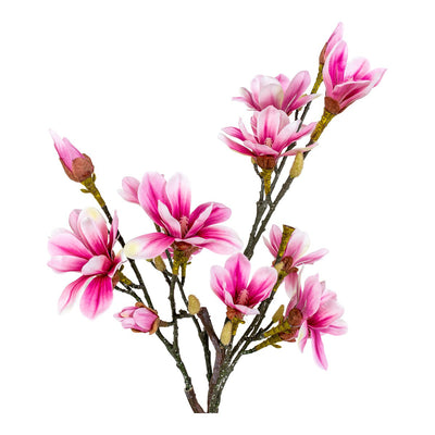 Magnolienbaum - Grün, Rosa