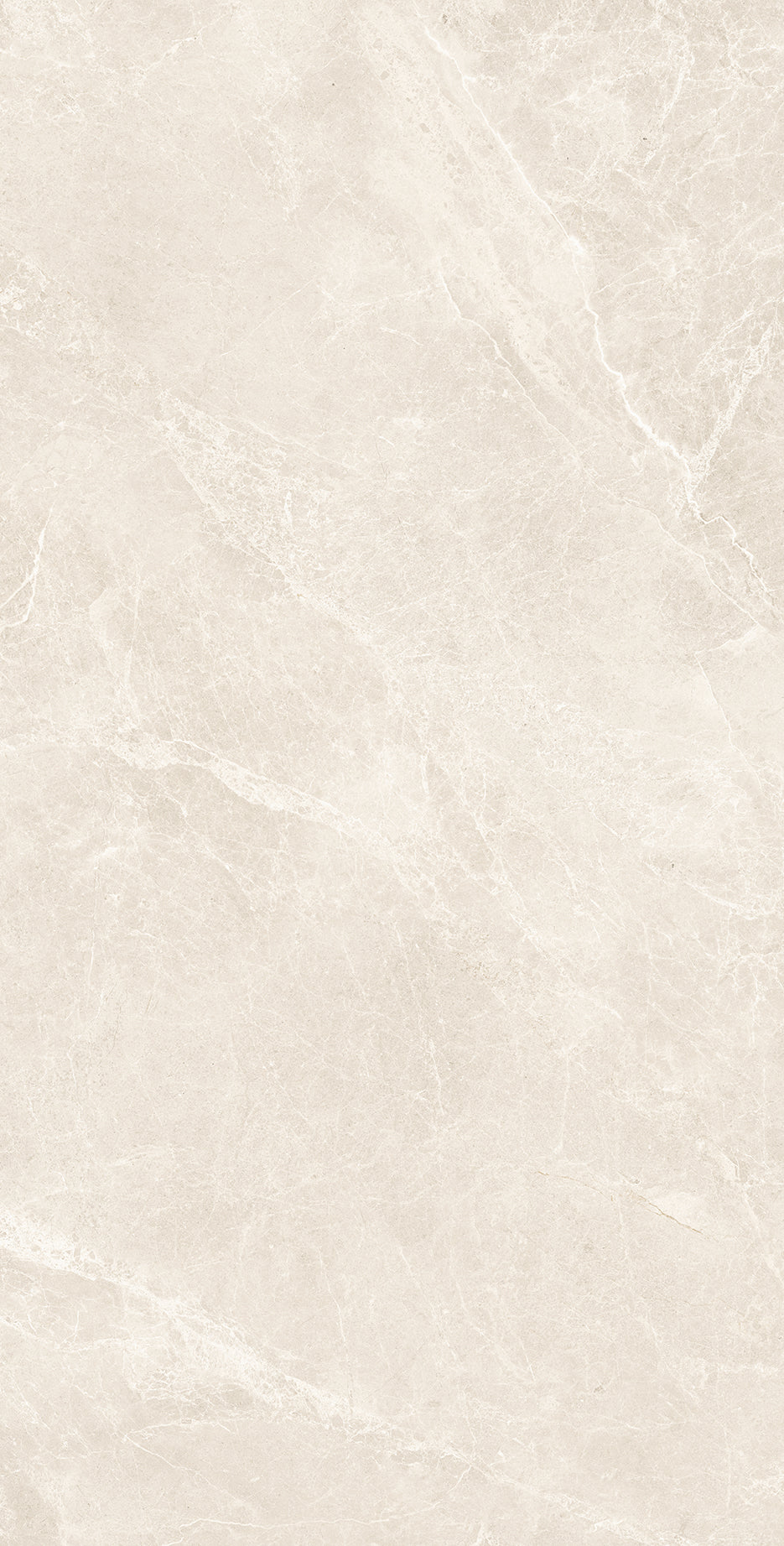 Bodenfliese Swan Bone Polished 60cm x 120cm