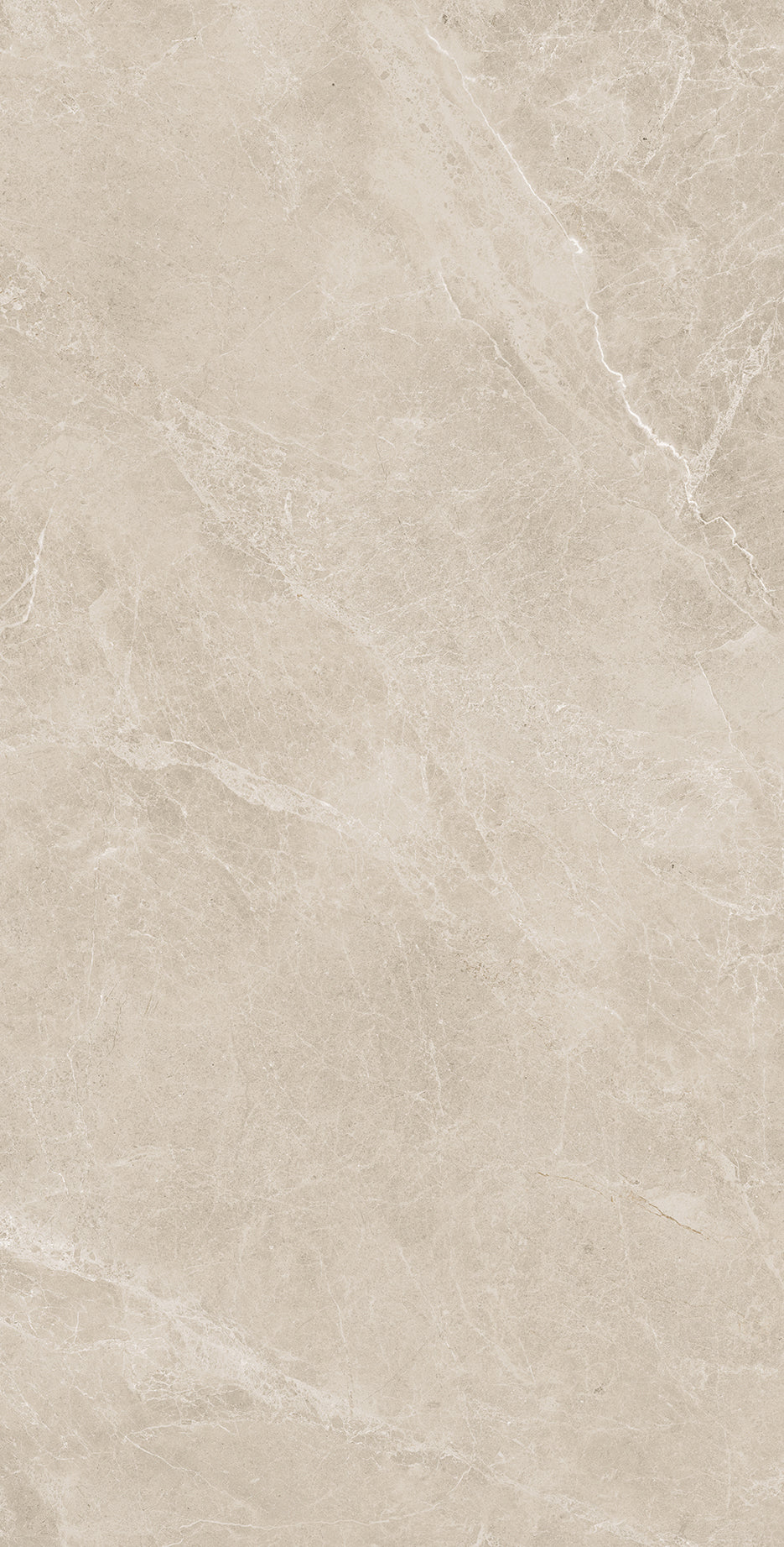 Bodenfliese Swan Latte Polished 60cm x 120cm