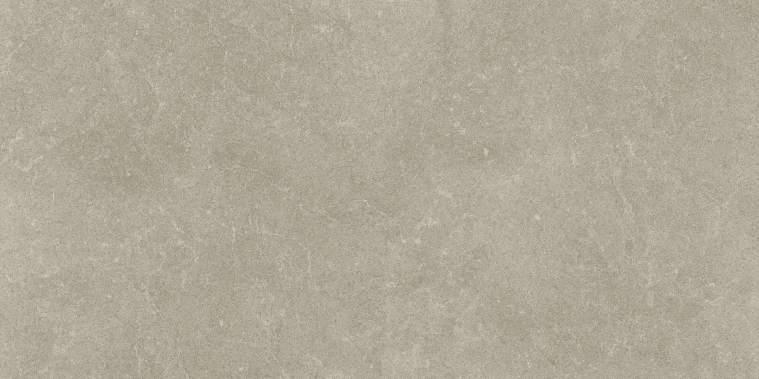 Terrassenplatte | Start | Silbergrau | 60x120