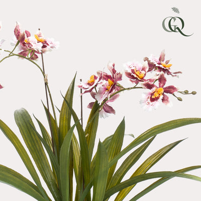 Kunstpflanze - Orchidee - Bordeaux - 45cm