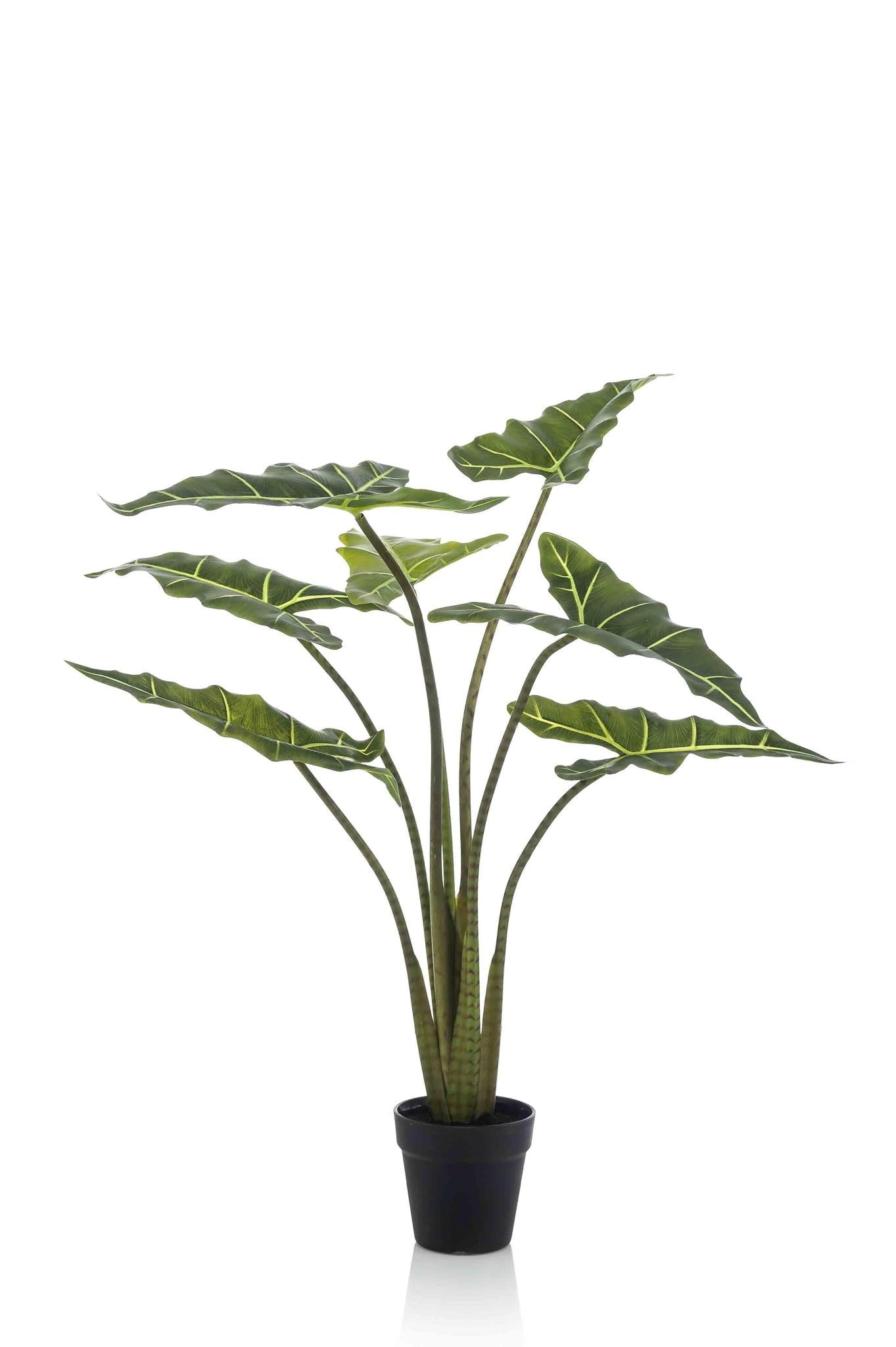 Kunstwerk - Alocasia Frydek - 90 cm