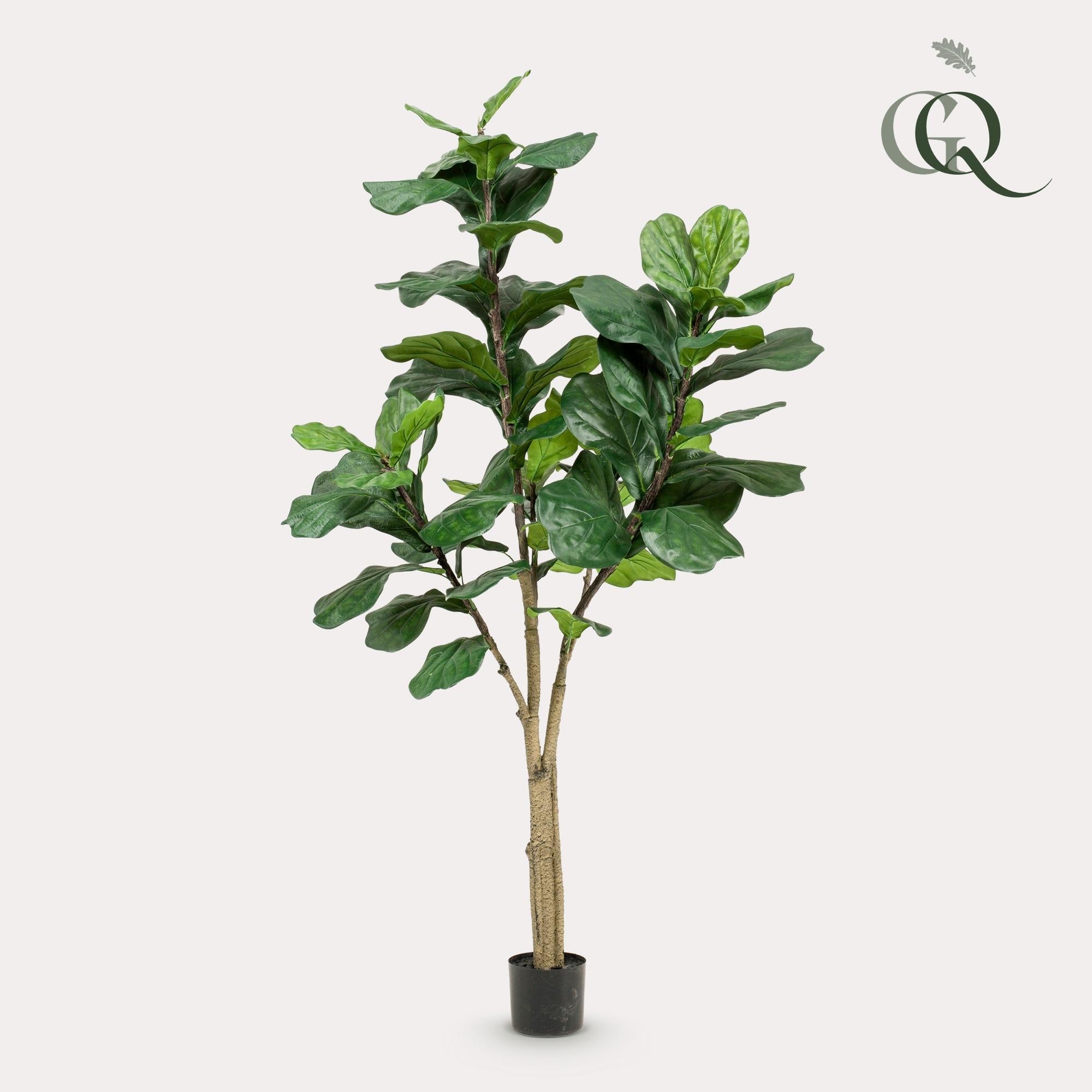 Kunstdekoration - Ficus Lyrata - Tabakdekoration - 180 cm