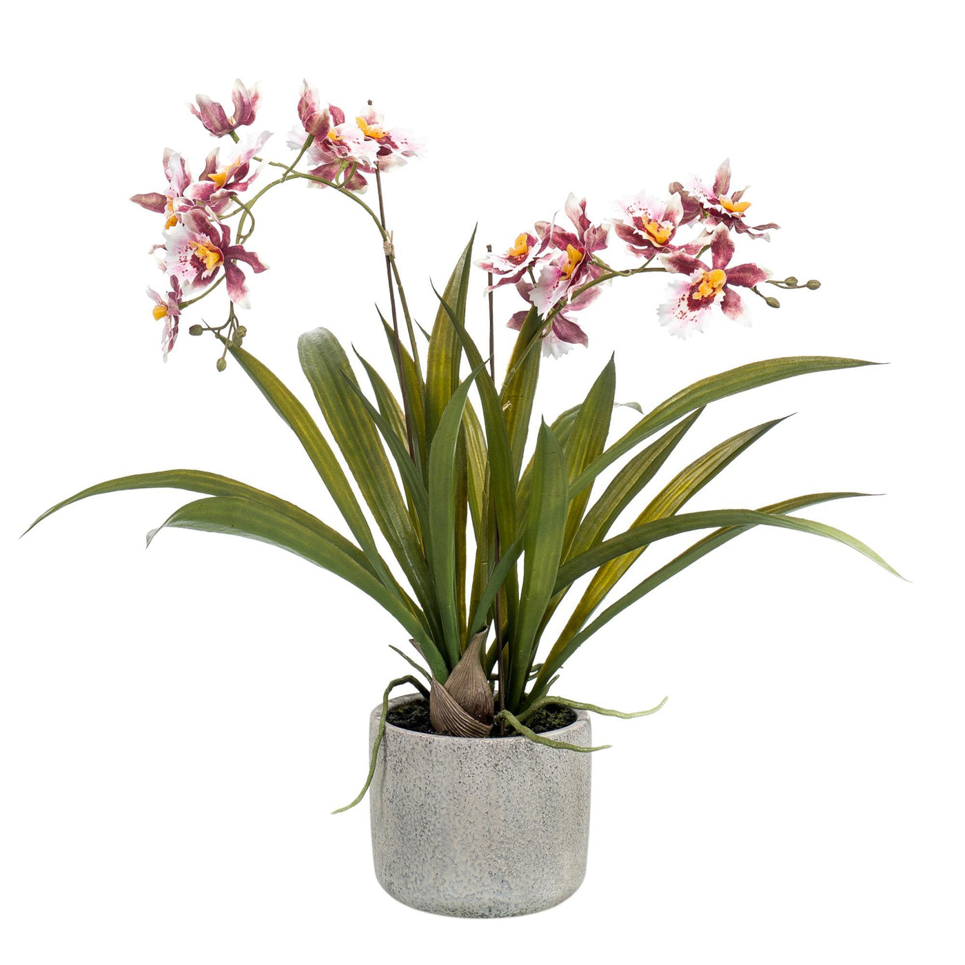 Kunstpflanze - Orchidee - Bordeaux - 45cm