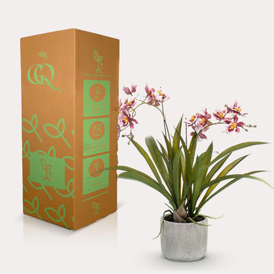 Kunstpflanze - Orchidee - Bordeaux - 45cm