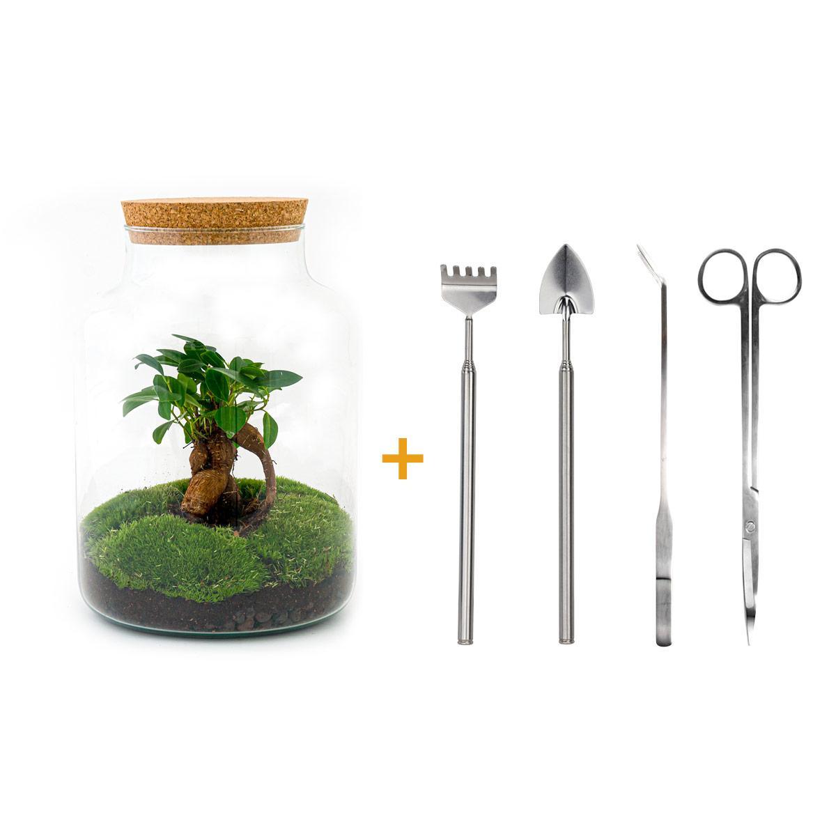 Flaschengarten - Milchig mit Bonsai - ↕ 30 cm - Harke + Schaufel + Pinzette + Schere