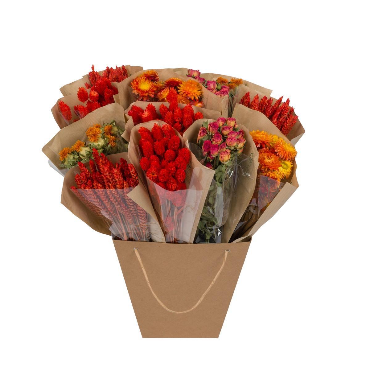 Getrocknete Blumen – Getrocknete Monomischung – Orange – 50 cm