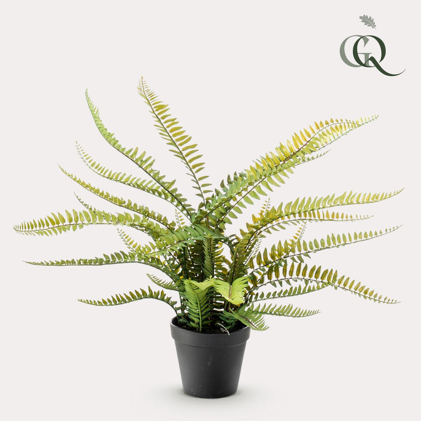 Kunstwerk – Nephrolepis Exaltata – Boston Farn – 55 cm