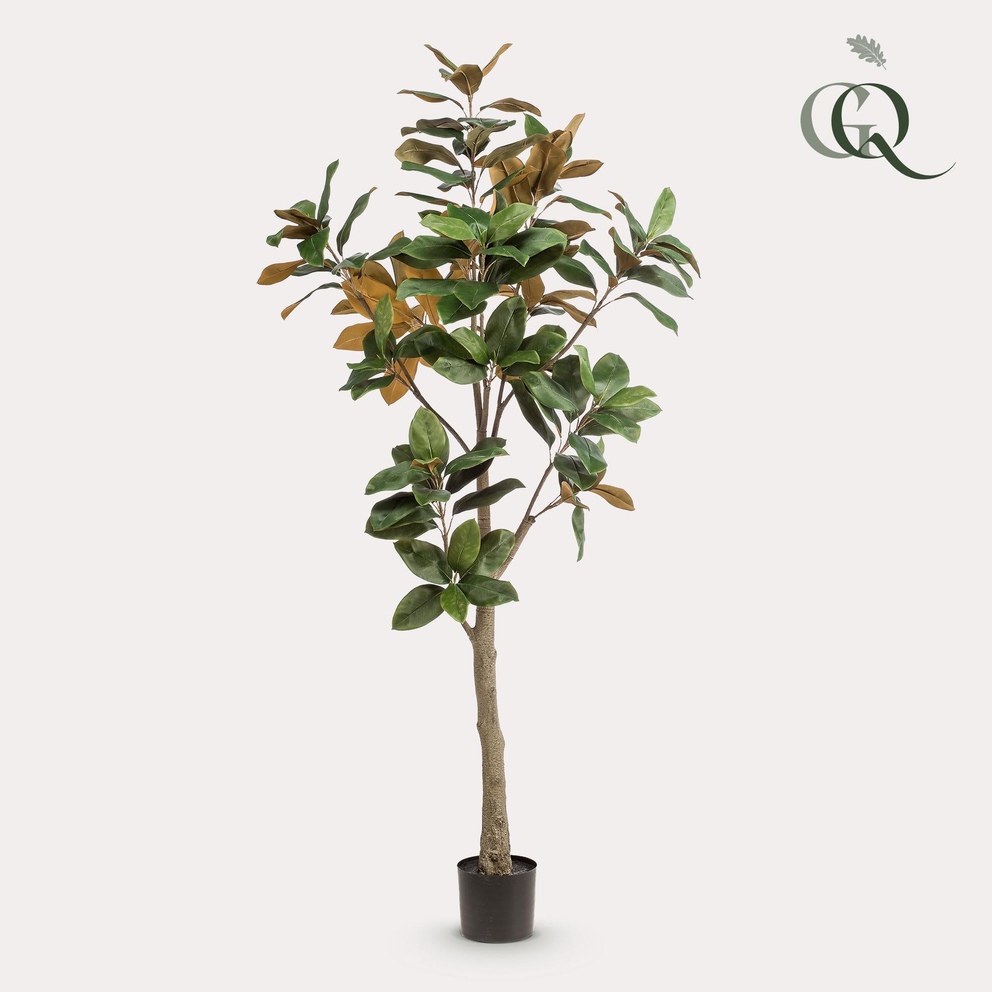 Kunstwerk - Magnolia Grandiflora - 180 cm