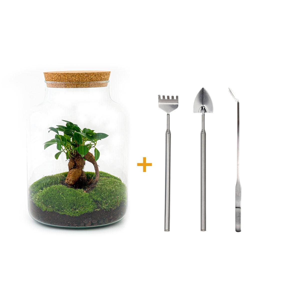 Flaschengarten - Milchig mit Bonsai - ↕ 30 cm - Harke + Schaufel + Pinzette