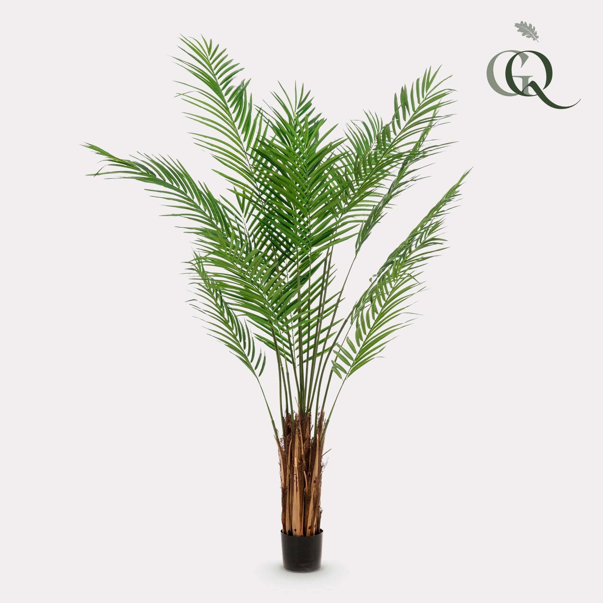 Kunstwerk – Areca Lutescens – Goldpalme – 180 cm