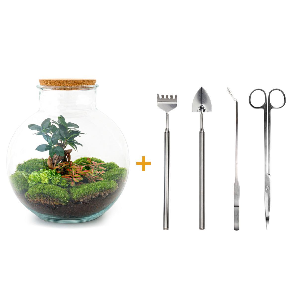 Flaschengarten - Bolder Bob Bonsai - ↕ 30 cm - Harke + Schaufel + Pinzette + Schere