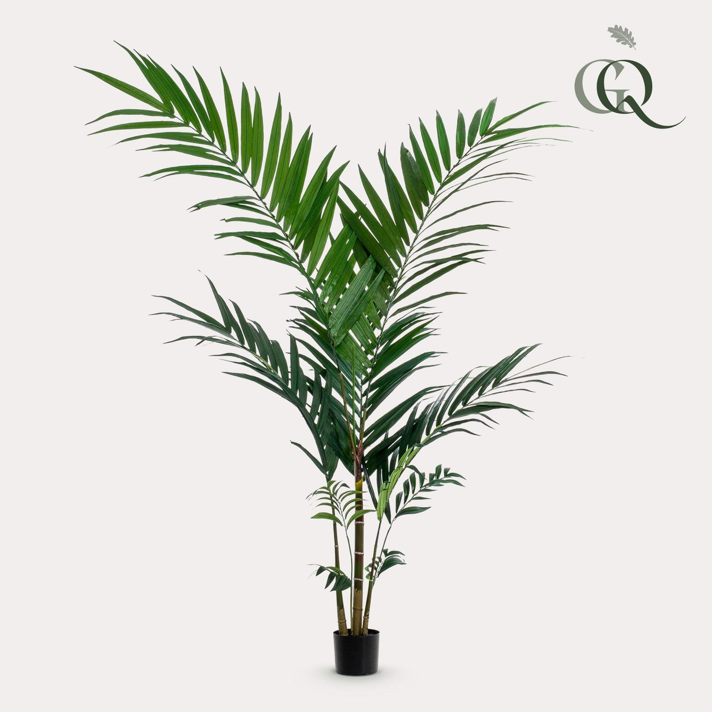 Kunstwerk – Kentia-Palme – 150 cm - Kentiapalme