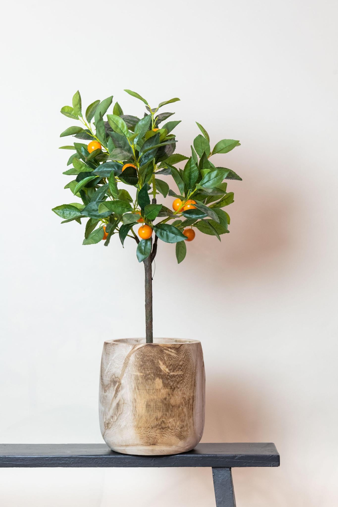 Kunstwerk - Citrus Sinensis - Orangenbaum - 75 cm