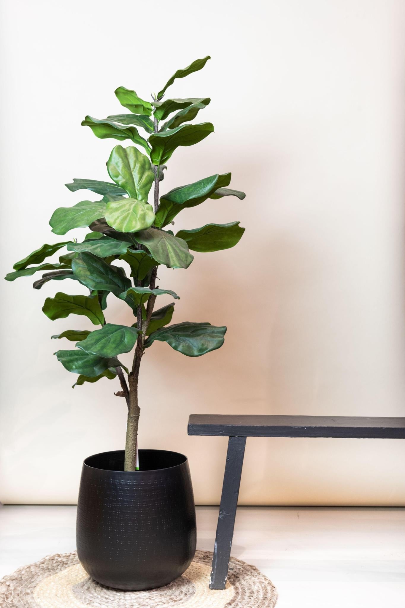 Kunstdekoration - Ficus Lyrata - Tabakdekoration - 125 cm