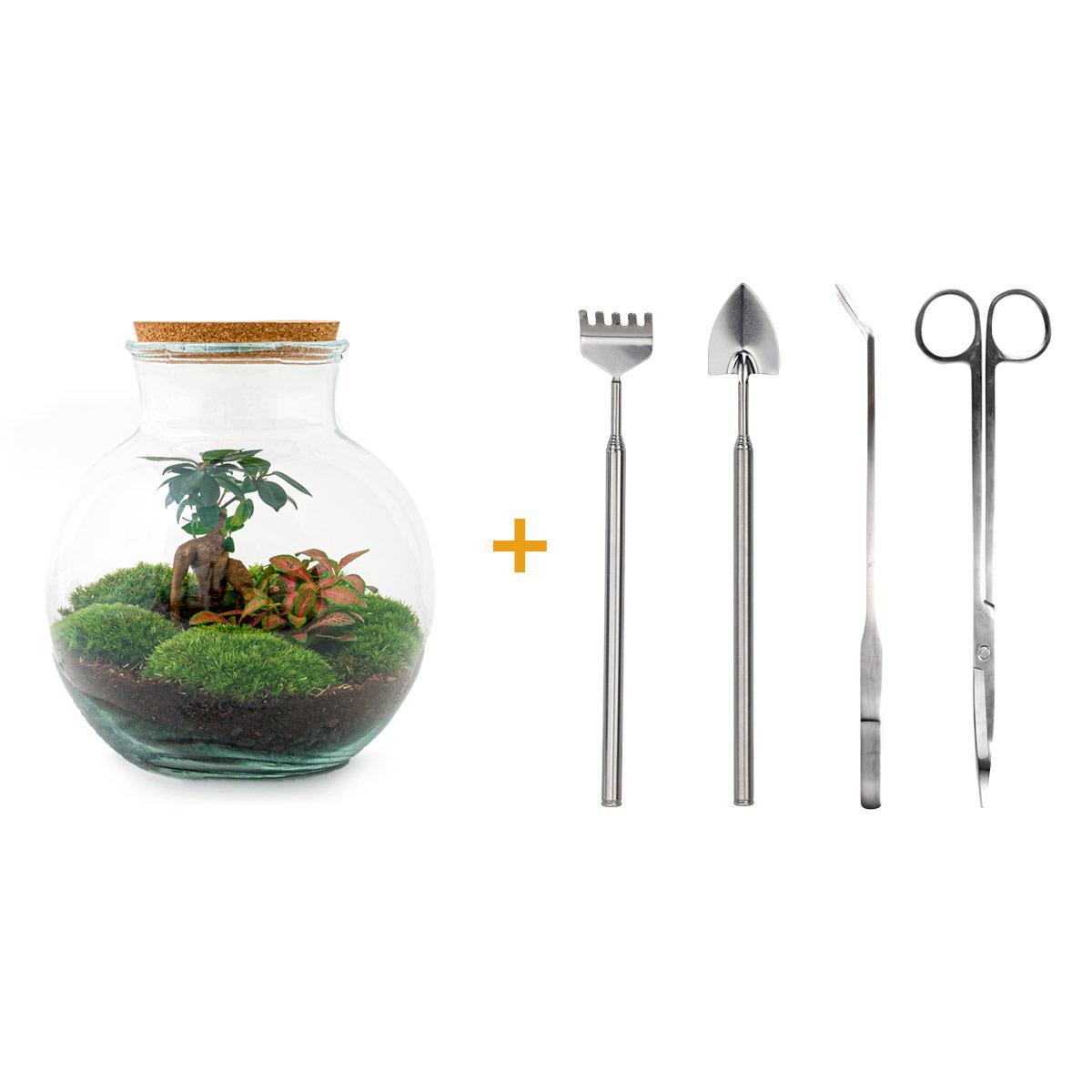 Flaschengarten - Teddy Bonsai - ↕ 26,5 cm - Harke + Schaufel + Pinzette + Schere