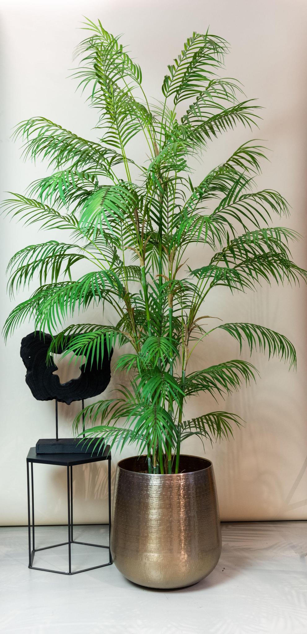 Kunstwerk – Chamaedorea Elegans – Bergpalme – 180 cm - Bergpalme